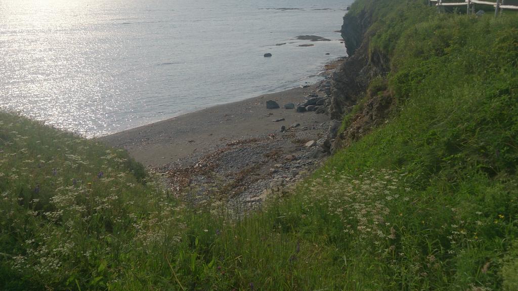 Les Cabines Sur Mer Cap-des-Rosiers 外观 照片