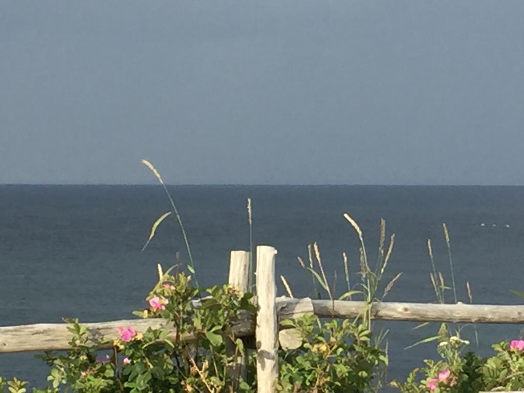 Les Cabines Sur Mer Cap-des-Rosiers 外观 照片